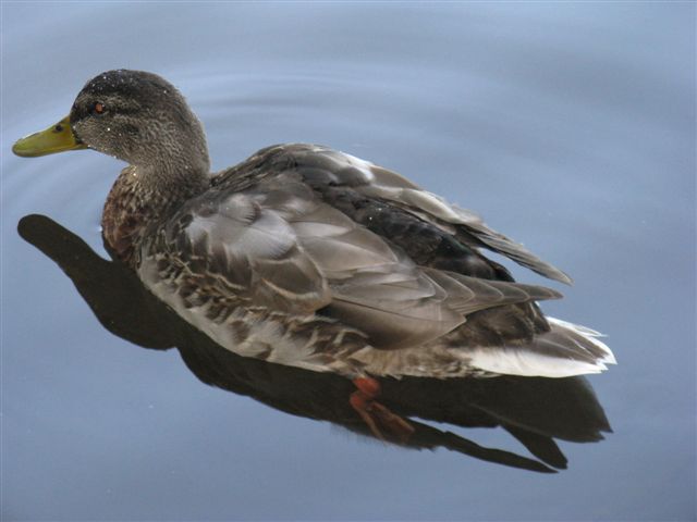 Snímek 245.jpg